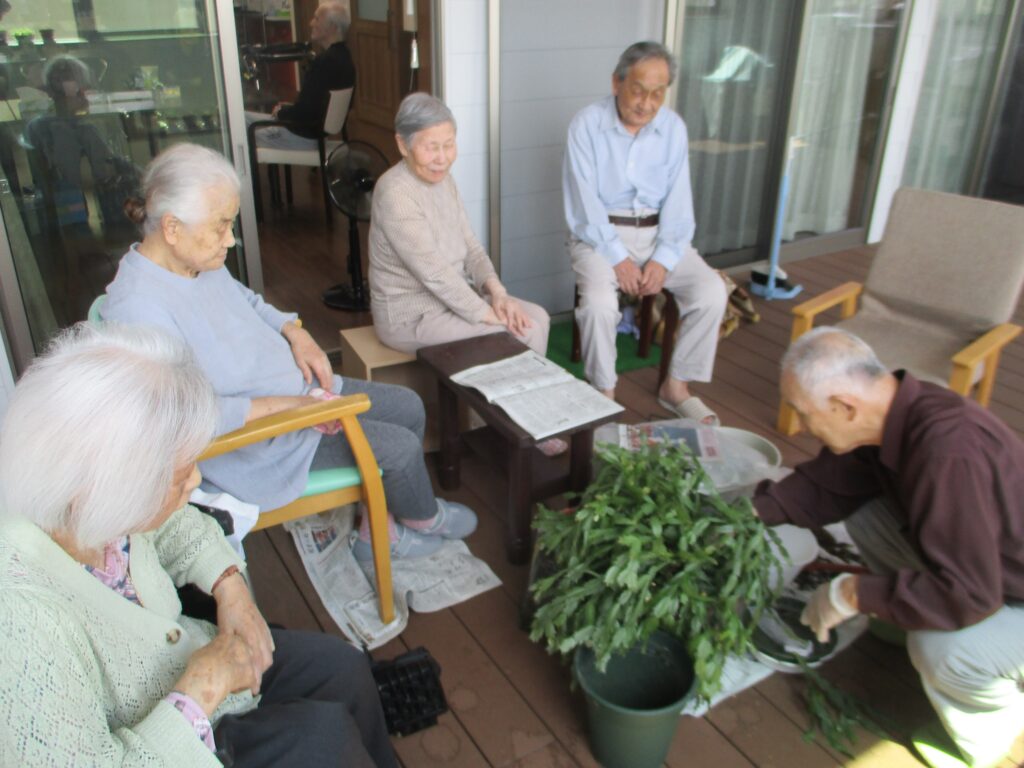 植物のお手入れをしました(^^)/