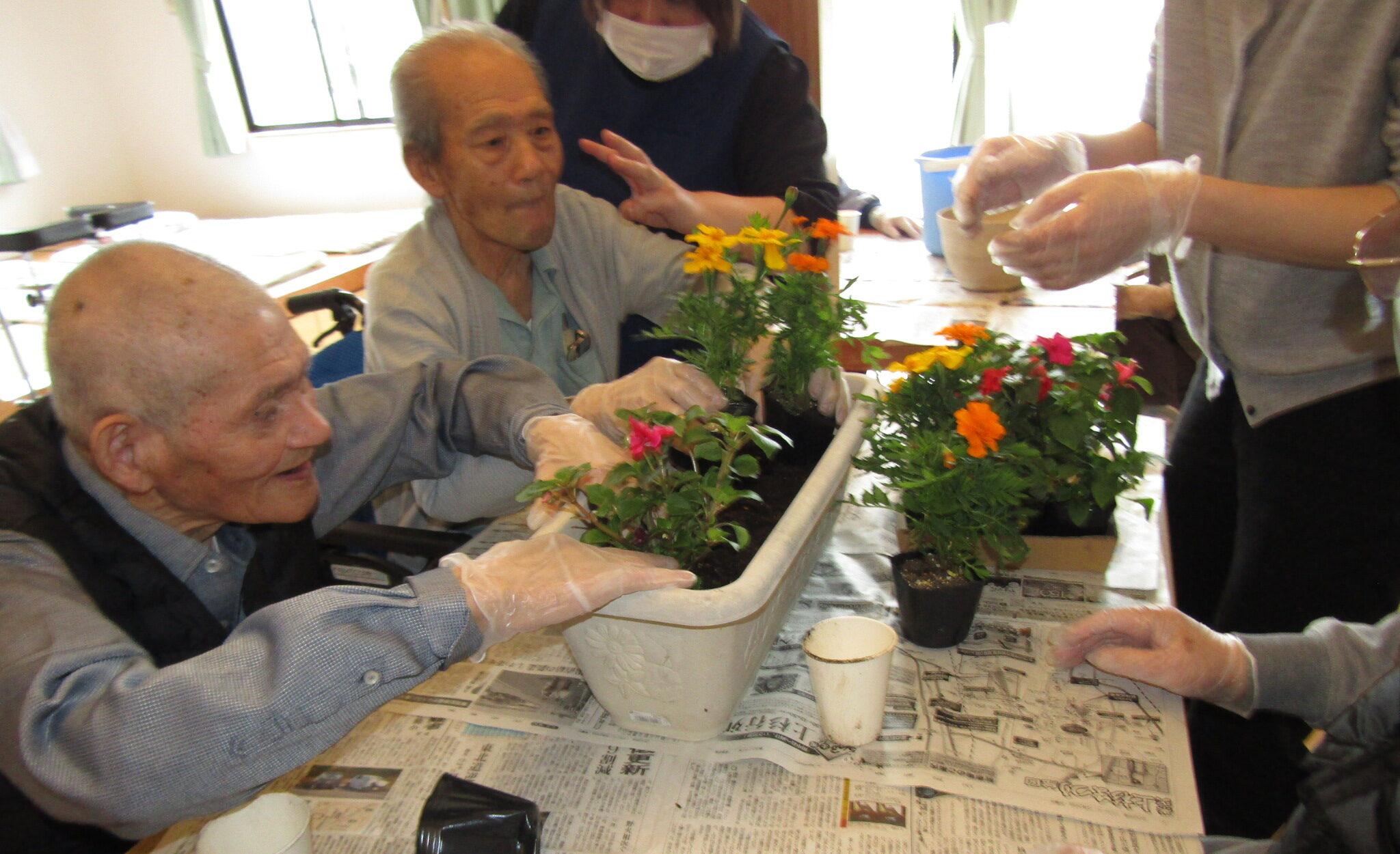 ☘️みどりの日❁花植え☘️