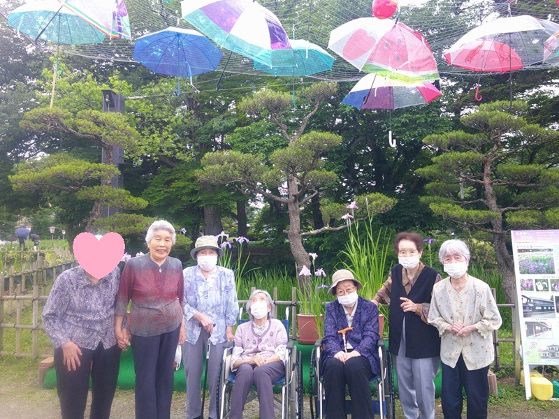 あやめまつりに行って来ました！