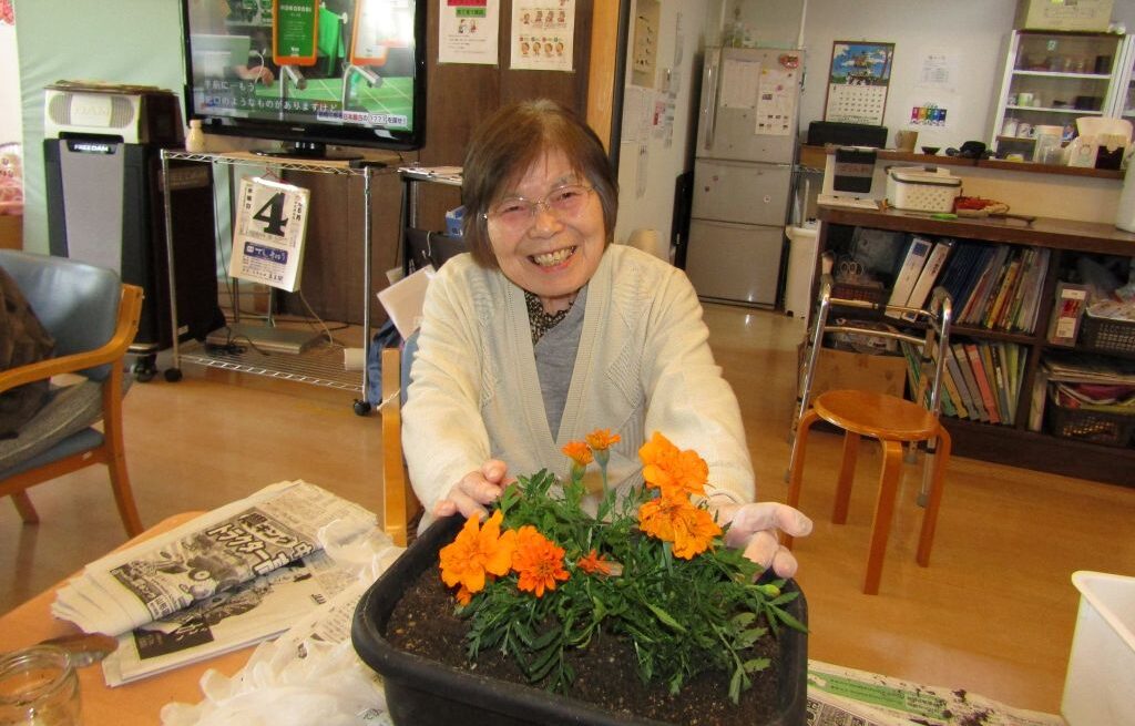 🌷花の植え替え🌷