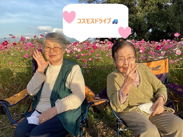 コスモスドライブに！