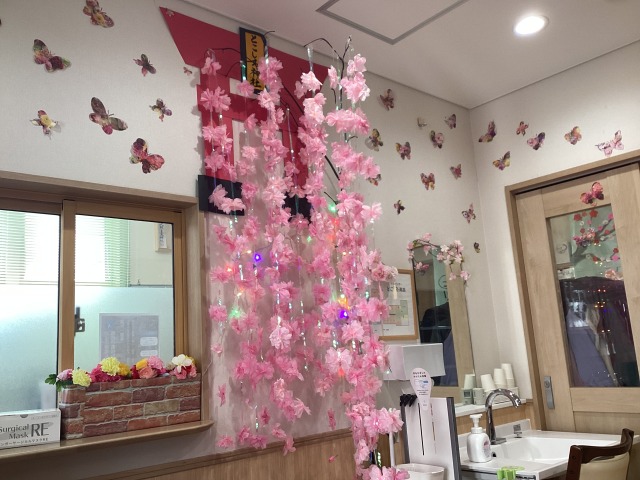 もうすぐ春ですね♪🌸🌸