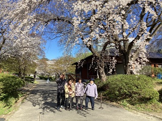 ～花見ドライブ～