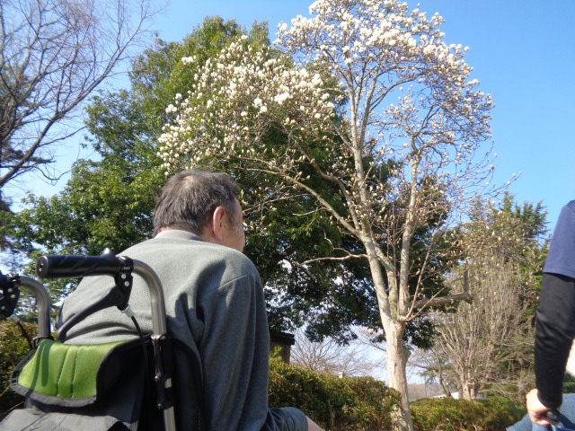 🌺🐽春直前！！！🌷🌼