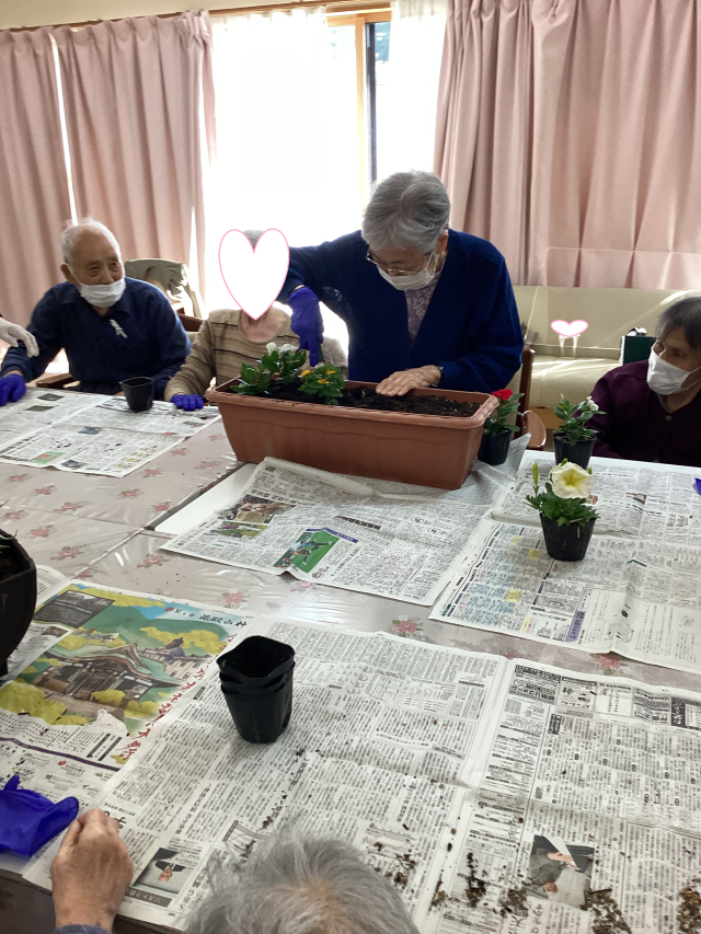 花植え