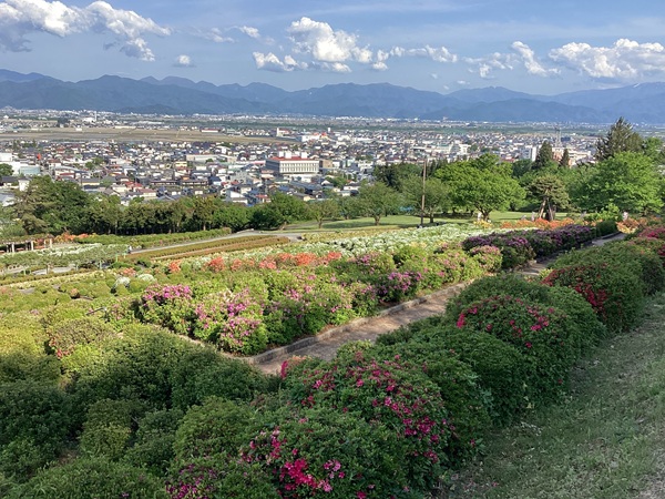 外出レク🚙