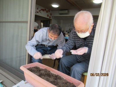 🌸花植えを行いました🌸