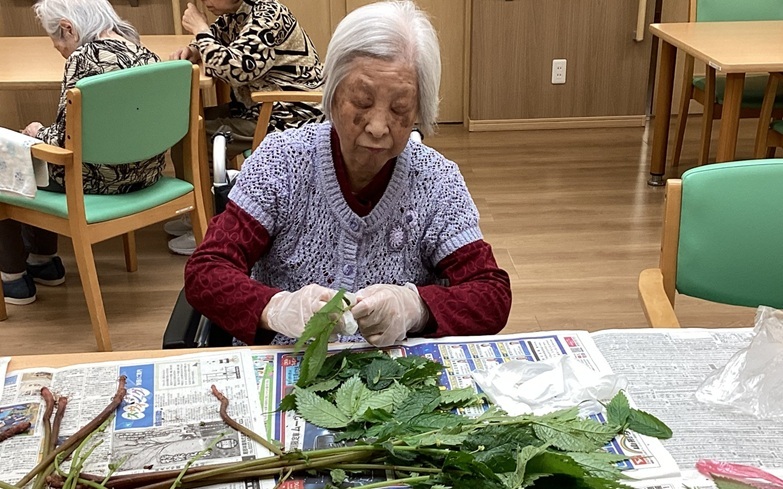 ミズの下処理レク