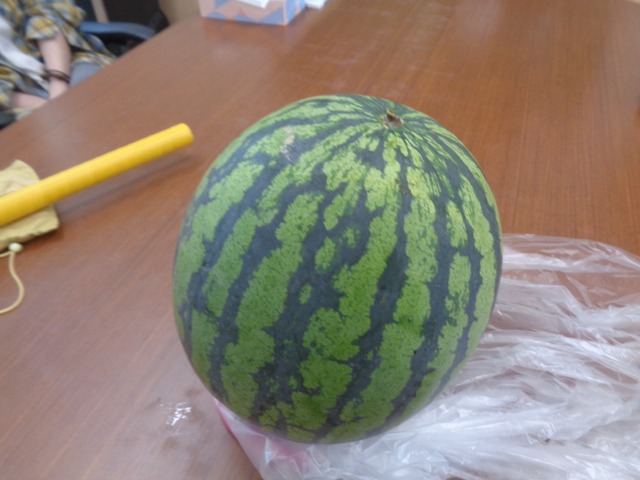 🍉夏のレクといえばスイカ割り🍉